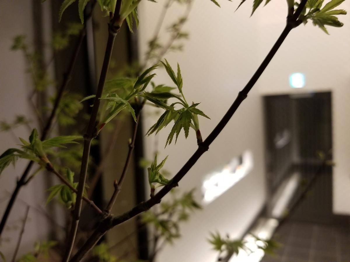 Kyo No Yado Botan Villa Kyoto Eksteriør bilde